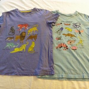 2 Mini Boden T-Shirts 11-12 Years GUC